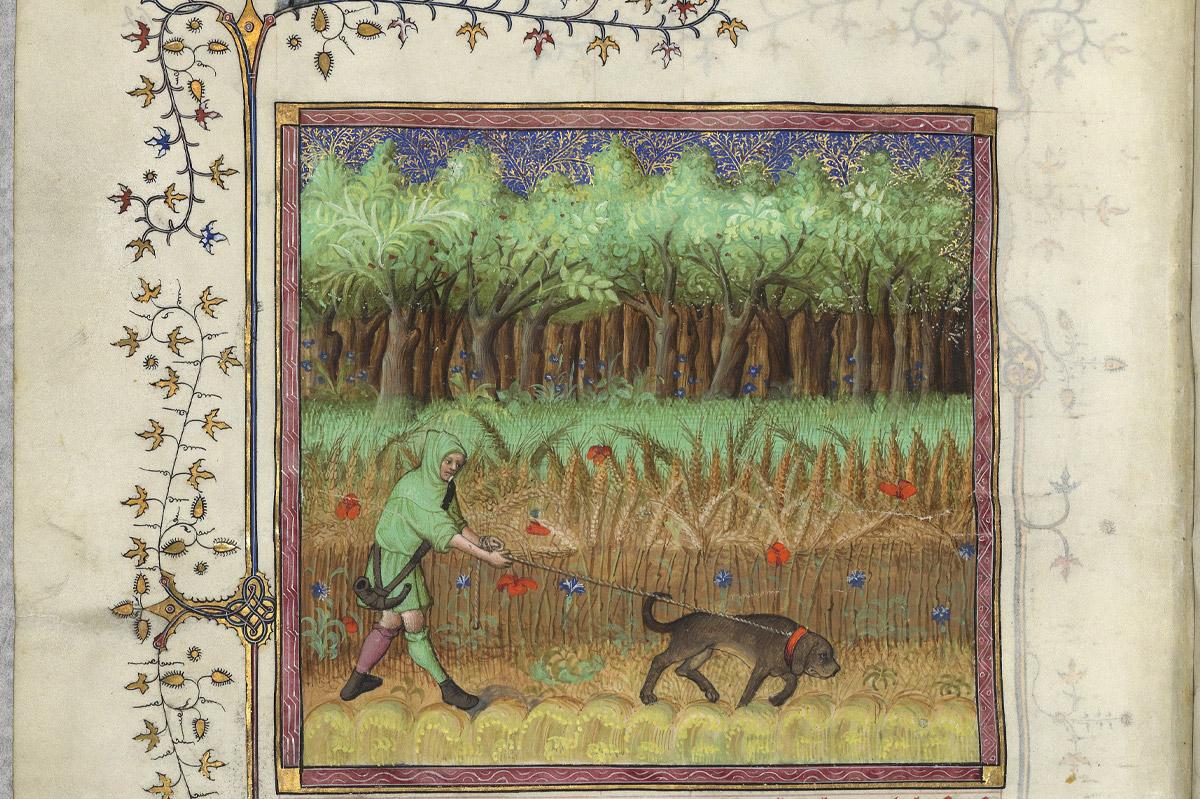 « Comment on doit aller en queste entre les champs et la forêt », Livre de la chasse de Gaston Fébus (1387-1389). (BNF, Ms. Fr. 616 fol. 62 verso)