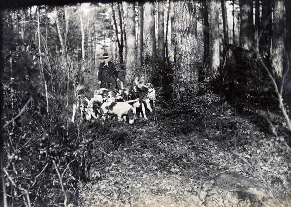 Relai de chiens en forêt de Lorge (début du XXe siècle). (AD 22, 14 Fi 487) Relai de chiens en forêt de Lorge (début du XXe siècle). (AD 22, 14 Fi 487)
