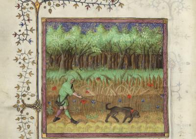 « Comment on doit aller en queste entre les champs et la forêt », Livre de la chasse de Gaston Fébus (1387-1389). (BNF, Ms. Fr. 616 fol. 62 verso)